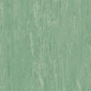 Homogeneous Connemara Green Slip Resistant Vinyl Sheet Safety Flooring Roll