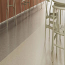 Standard PUR Lilac Blue Slip-Resistant Vinyl Sheet Safety Flooring Roll
