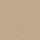 Standard PUR Autumn Beige Slip-Resistant Vinyl Sheet Safety Flooring Roll